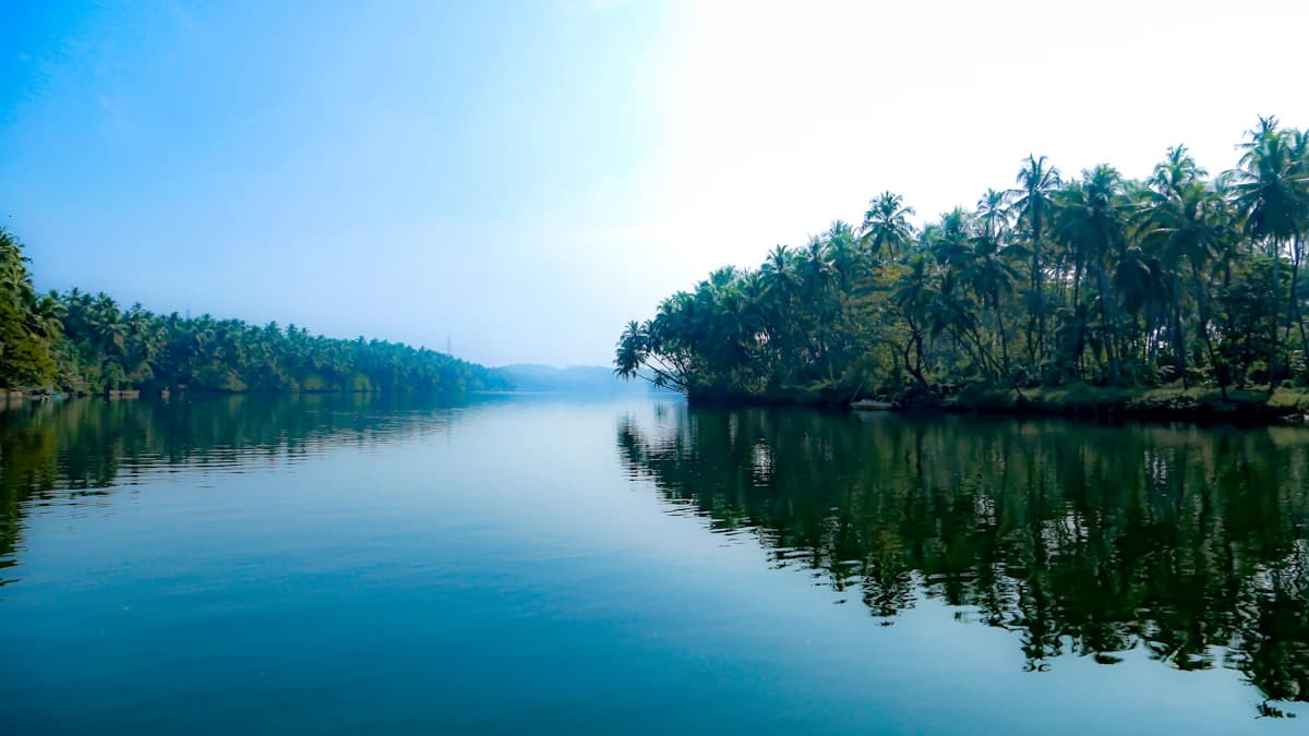 Kerala skyline representing Technopark Thiruvananthapuram and Infopark Kochi IT corridor